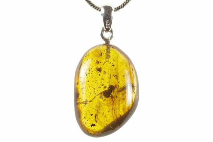 Polished Baltic Amber Pendant (Necklace) - Contains Ant! #367353